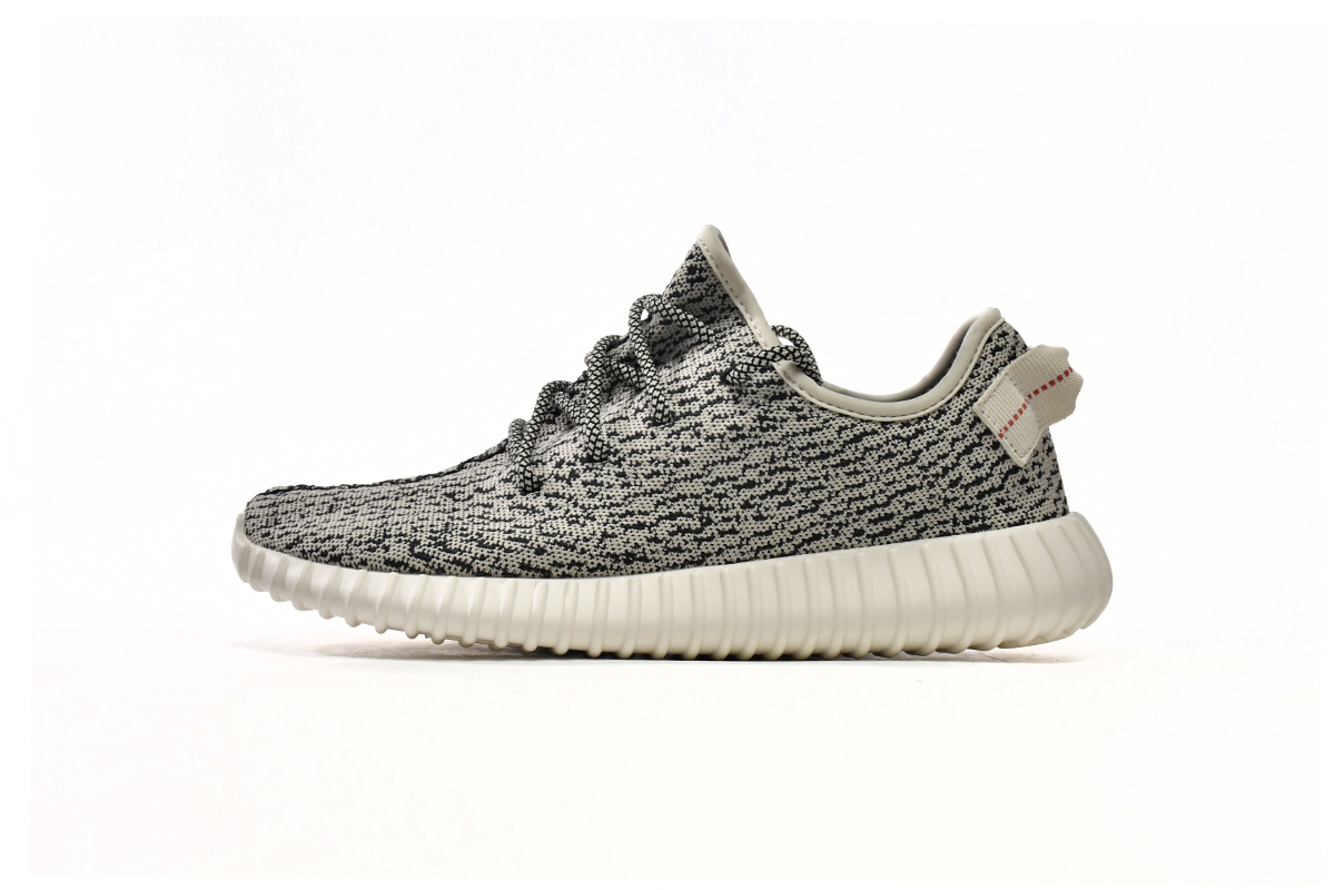 Adidas Yeezy Boost 350 'Turtle Dove' AQ4832